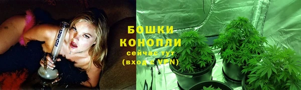 каннабис Аркадак