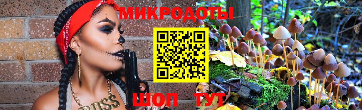 Галлюциногенные грибы Psilocybe  Вход с VPN  Ярцево 